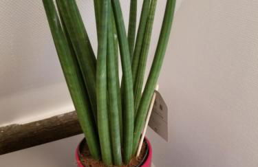 Best of Chartres one bedroom city center and view on the Cathedral - Foto 11