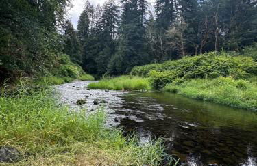 Enchanted Hollow- Cozy, Romantic Woodland Getaway - Photo 14