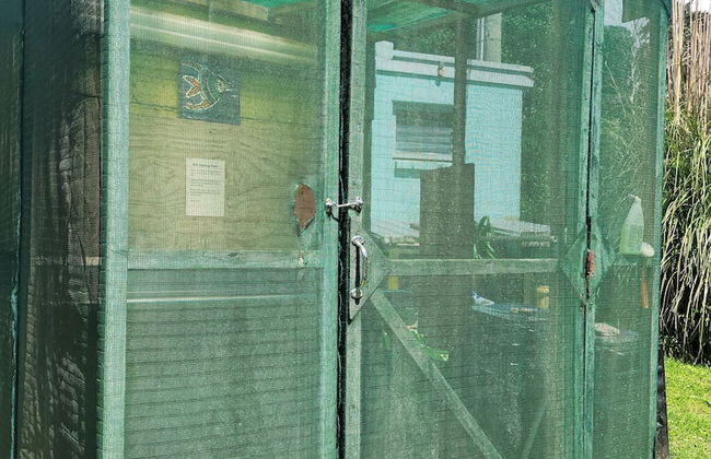 Dickson Holiday Park - Foto 70