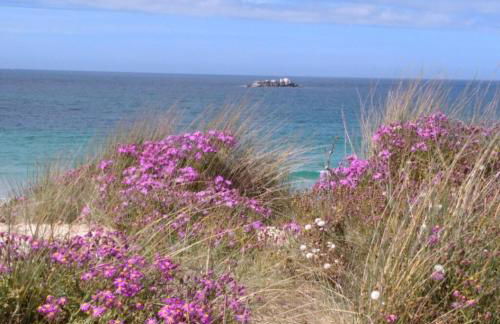 Meublé 3 étoiles Les Capucines - Foto 15