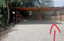 Riccio di Mare - Foto 30