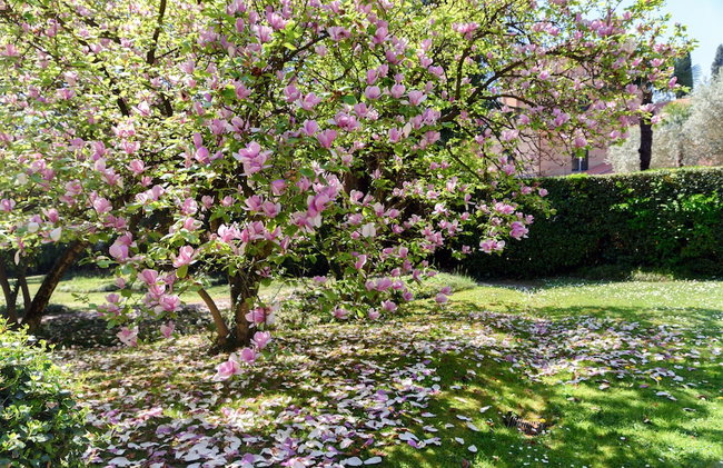 L'Orangerie di Villa Mayer - MyHomeInComo - Foto 88