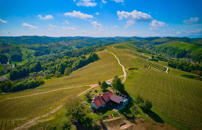 Holiday House Podhamer Boris With Private Wellness - Foto 1