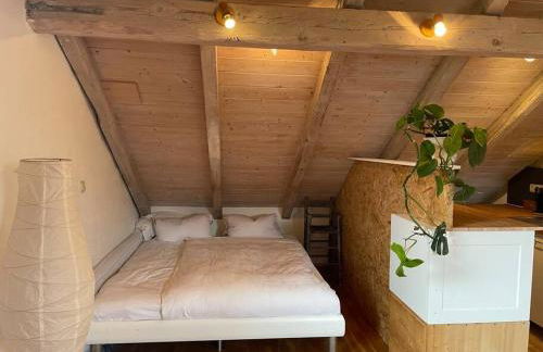 Sonnige 2-Zimmer Wohnung unterm Dach - Foto 5