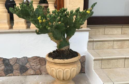 Casa Tre Fontane - Foto 19