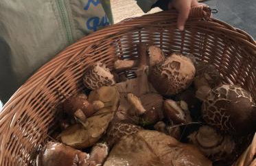 Tilia authentic home, butikowe apartamenty nad morzem - Photo 14