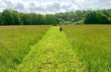 Sandpipers Cottage - Devon Sleeps 4, Garden, rural, Dog friendly - Photo 10