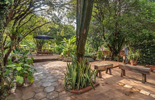 Suítes no Quintal - Foto 47