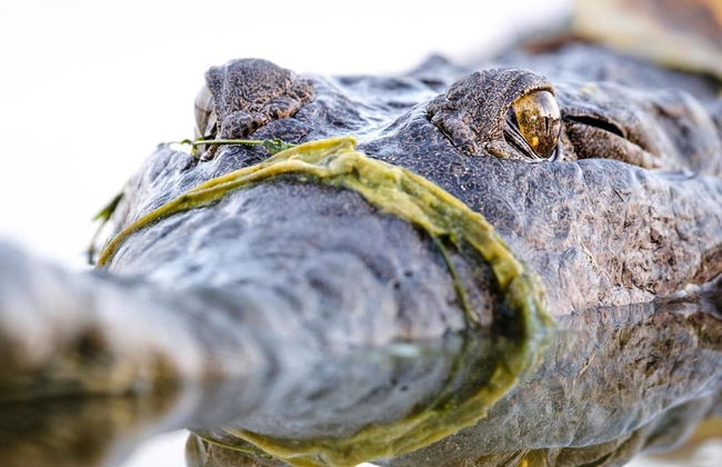 Kimberleyland Waterfront Holiday Park - Photo 43