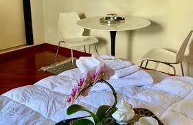 Paeninsula, design e comfort nel centro di Milano - Porta Venezia - Foto 7