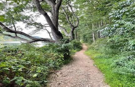 Shenandoah A-Frame with Mtn Views, near Bryce Resort - Foto 35