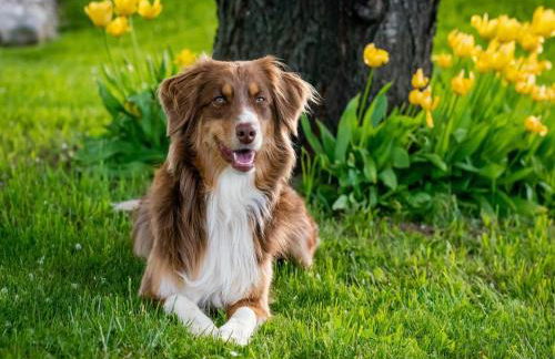 Historic Tower Home in Brignac - Foto 40
