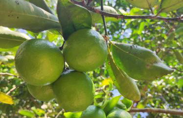 Casa Aconchegante - Foto 17