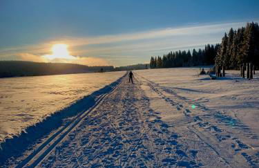 Rennsteig-Pension Trautwein - Foto 35