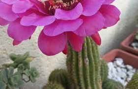 Casa Mariuccia - Foto 68