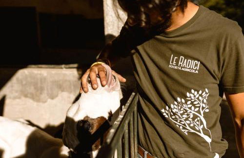 Agriturismo Le Radici - Foto 9