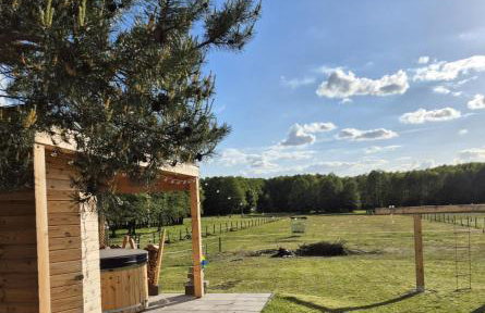 Strefa Natur dom z jacuzzi na wyłączność - Foto 6