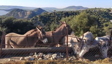 Vivienda Rural El Piketa - Foto 2