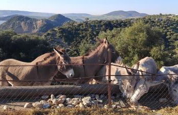 Vivienda Rural El Piketa - Foto 7