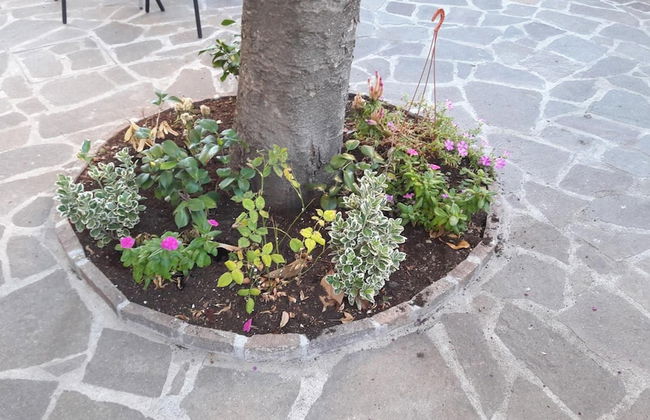 Florence Stadium B&B - Foto 24