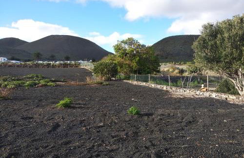 Finca la Tabaiba piscina compartida adultos - Foto 25