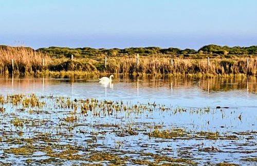 Le Douet Accommodation Vicq-sur-Mer - Foto 26