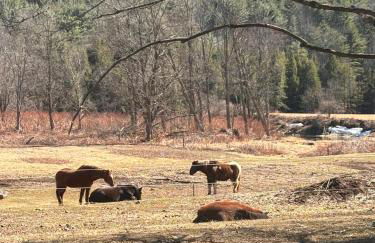 Walnut Grove - Foto 16