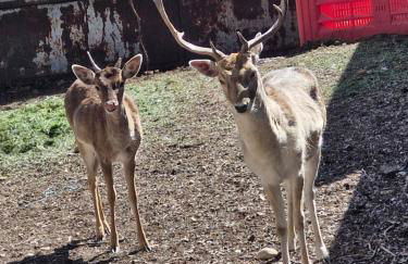 Maison avec piscine privée, sauna et activités - Rendez-vous en Provence - Foto 17