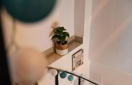 Casa Rural Antigua Botica - Foto 13