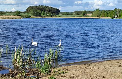 Agroturystyka Stawno49 - Foto 48