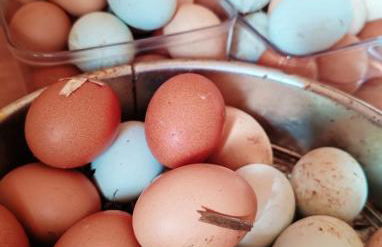 Le Ranch Normand - Foto 52