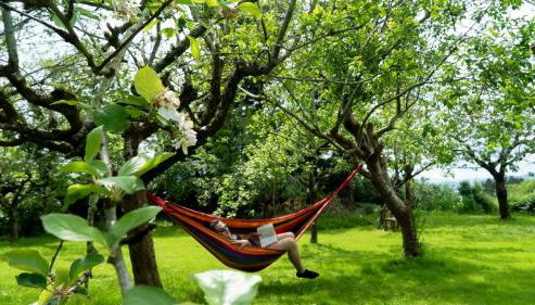 Casa Rural Arraigorri - Foto 2