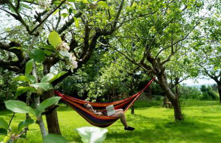 Casa Rural Arraigorri - Foto 2