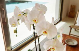 Villa Turquesa - Foto 25