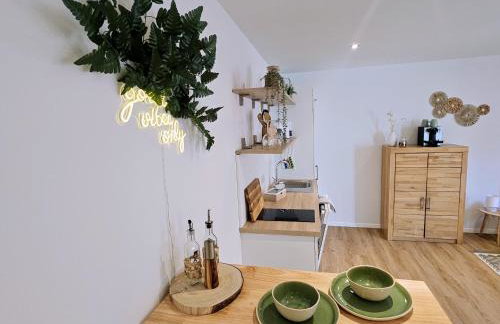 Altstadt INsel - workaction - free parking - Audi - Balkon - Aufzug - Photo 8