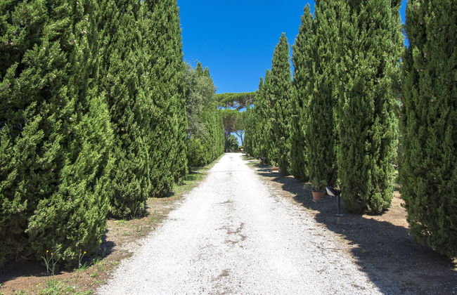 Podere Tre Termini - Foto 4