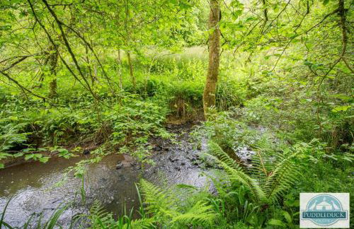 Puddleduck Valley - Dog Friendly - Foto 75