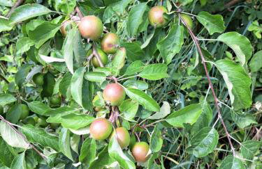 Wyspa Karsibór Świnoujście Apartament - Photo 13