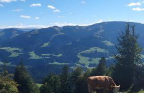 Komfort Apartment Römersberger - 6 - Foto 37