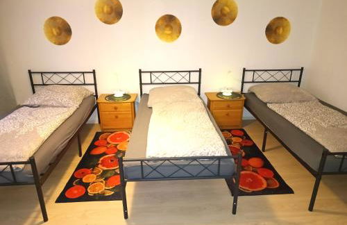 OCTOPUS-1 Monteurwohnung in Zentrum! 2-zkb in 1og - Foto 15