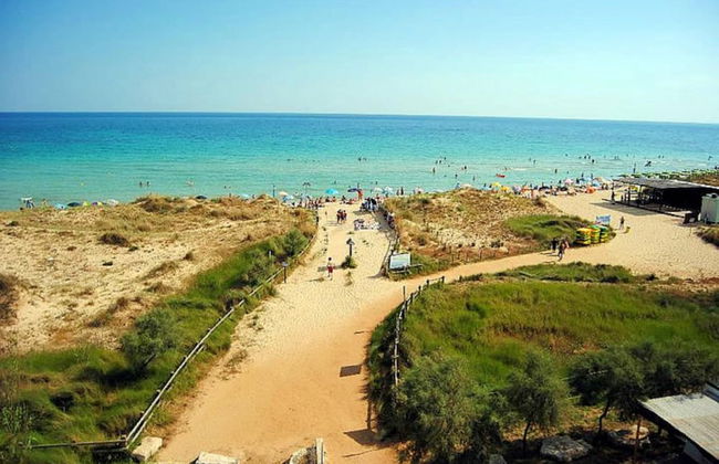 Lentisco - Residenza Arcangela con Piscine nel Salento - Photo 43