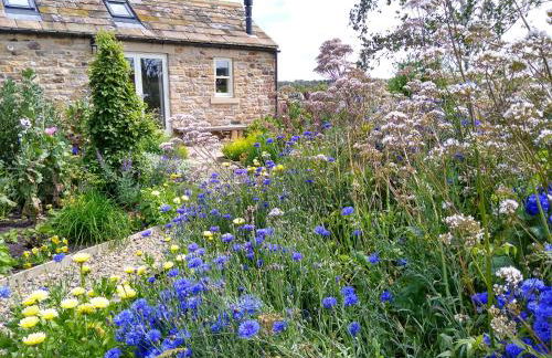 Birch Bothy, peaceful rural retreat - Foto 1