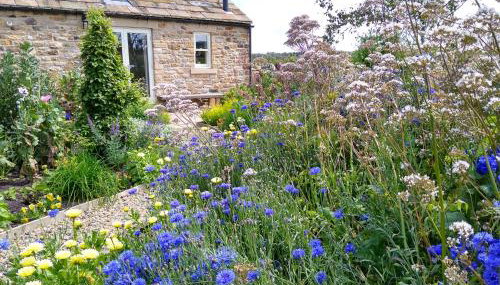 Birch Bothy, peaceful rural retreat - Foto 1