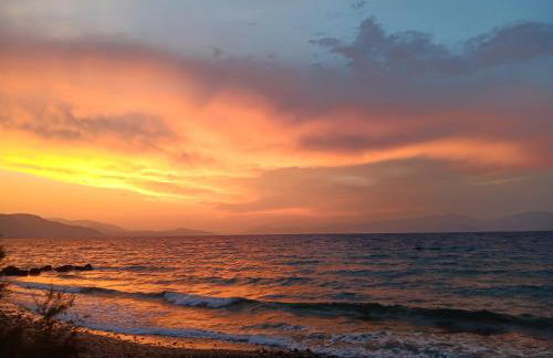 Skipper's Apartments - Foto 7