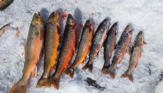 Snowshoeing & Ice Fishing - Photo 4