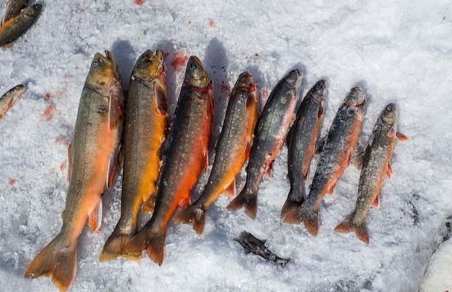 Snowshoeing & Ice Fishing - Photo 5