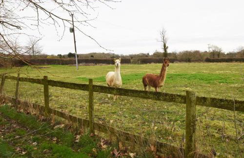 1 Bed in Horsham oc-86961 - Foto 17