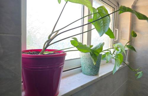 Esperides apartment - Foto 26