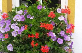 Ferienwohnung Hägelhof - Foto 31