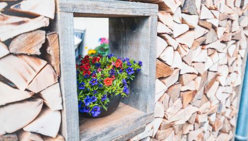 Haus Belchenwind - Foto 2